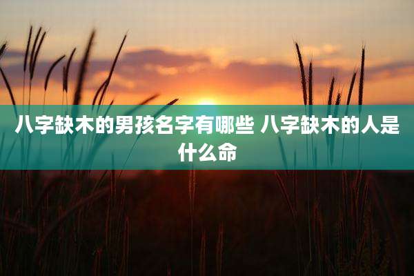 八字缺木的男孩名字有哪些 八字缺木的人是什么命