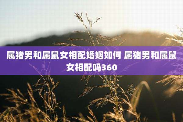 属猪男和属鼠女相配婚姻如何 属猪男和属鼠女相配吗360