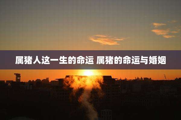 属猪人这一生的命运 属猪的命运与婚姻
