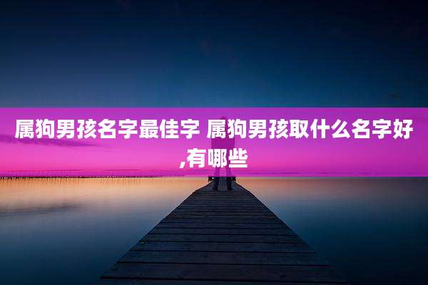 属狗男孩名字最佳字 属狗男孩取什么名字好,有哪些