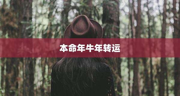 本命年牛年转运