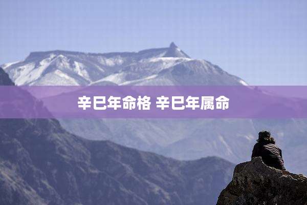 辛巳年命格 辛巳年属命
