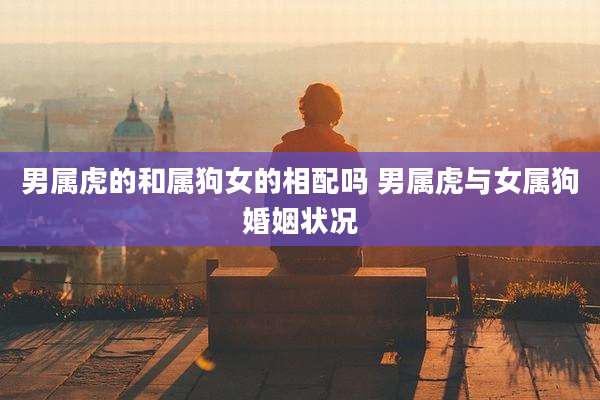 男属虎的和属狗女的相配吗 男属虎与女属狗婚姻状况