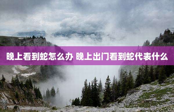 晚上看到蛇怎么办 晚上出门看到蛇代表什么