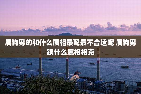属狗男的和什么属相最配最不合适呢 属狗男跟什么属相相克