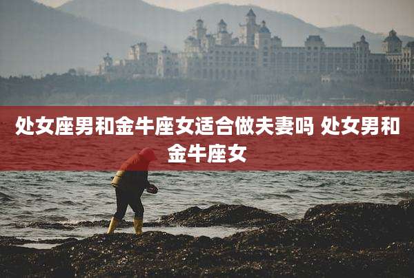 处女座男和金牛座女适合做夫妻吗 处女男和金牛座女