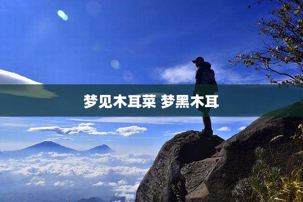 梦见木耳菜 梦黑木耳