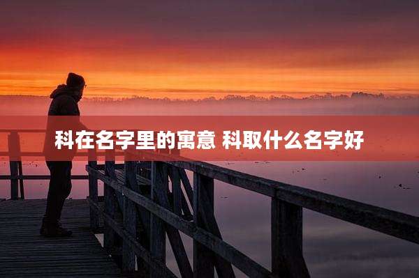 科在名字里的寓意 科取什么名字好