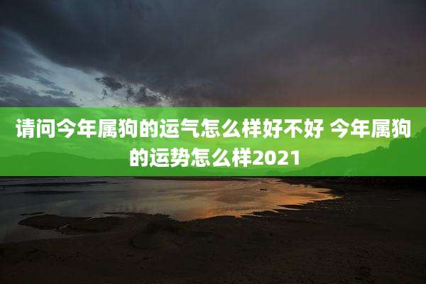 请问今年属狗的运气怎么样好不好 今年属狗的运势怎么样2021