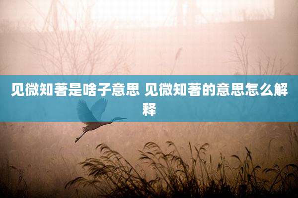 见微知著是啥子意思 见微知著的意思怎么解释