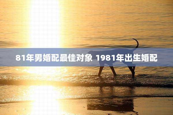 81年男婚配最佳对象 1981年出生婚配