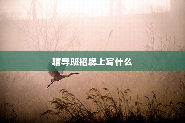 辅导班招牌上写什么