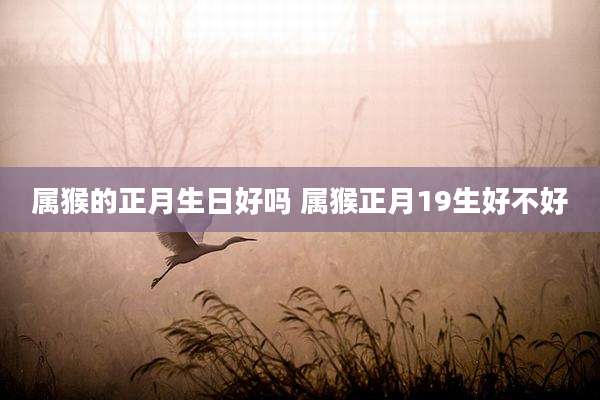 属猴的正月生日好吗 属猴正月19生好不好