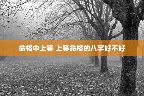 命格中上等 上等命格的八字好不好