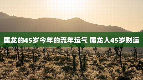 属龙的45岁今年的流年运气 属龙人45岁财运