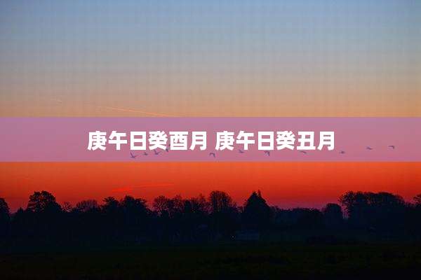 庚午日癸酉月 庚午日癸丑月