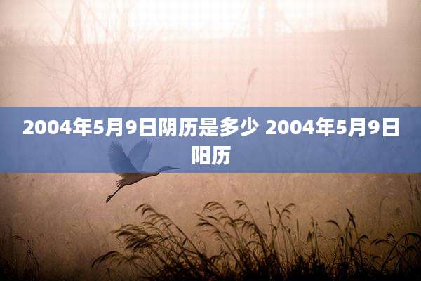 2004年5月9日阴历是多少 2004年5月9日阳历