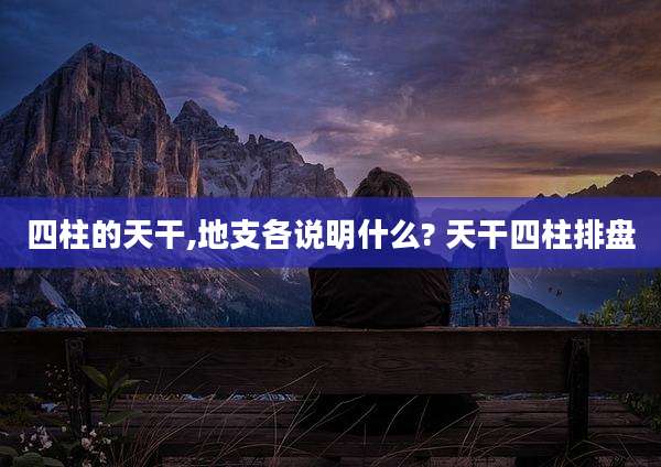 四柱的天干,地支各说明什么? 天干四柱排盘