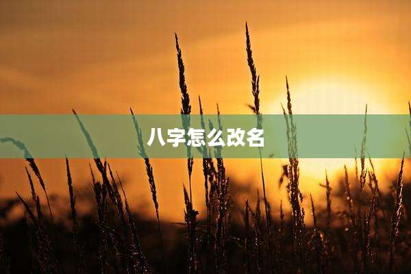 八字怎么改名