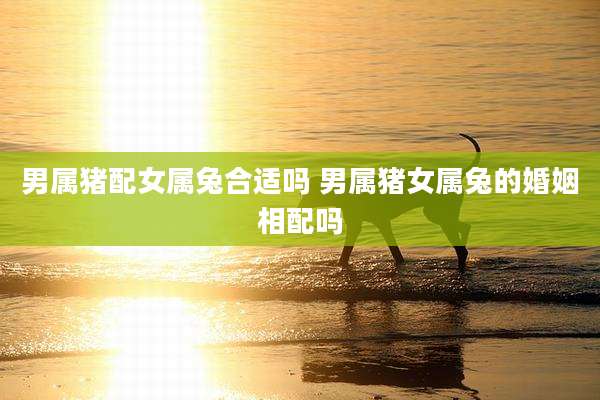 男属猪配女属兔合适吗 男属猪女属兔的婚姻相配吗