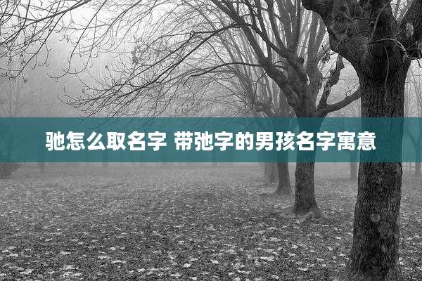 驰怎么取名字 带弛字的男孩名字寓意
