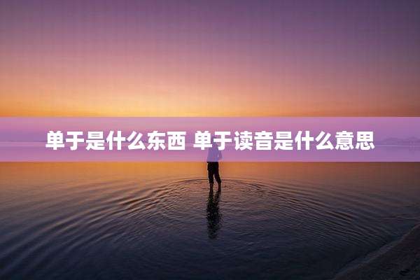 单于是什么东西 单于读音是什么意思