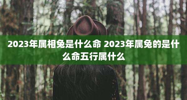 2023年属相兔是什么命 2023年属兔的是什么命五行属什么