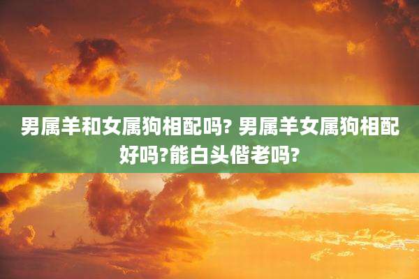 男属羊和女属狗相配吗? 男属羊女属狗相配好吗?能白头偕老吗?