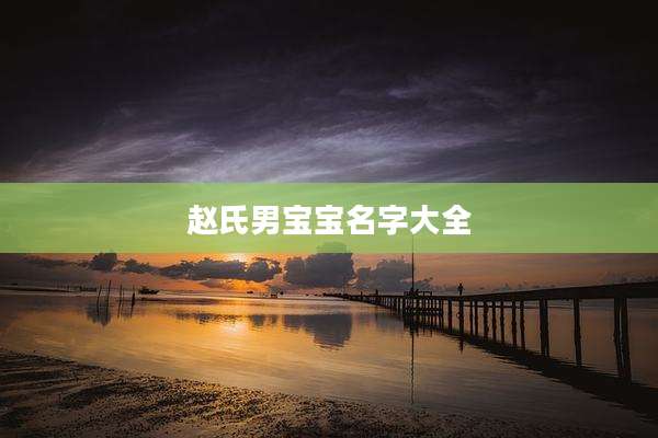 赵氏男宝宝名字大全