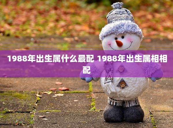 1988年出生属什么最配 1988年出生属相相配