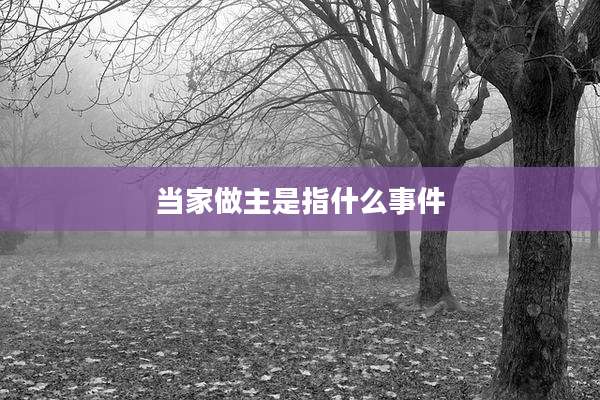 当家做主是指什么事件