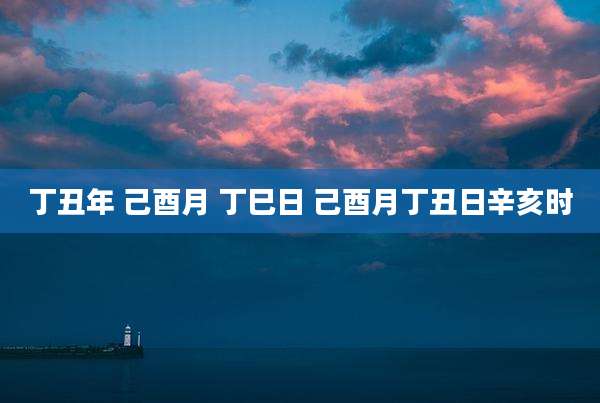 丁丑年 己酉月 丁巳日 己酉月丁丑日辛亥时