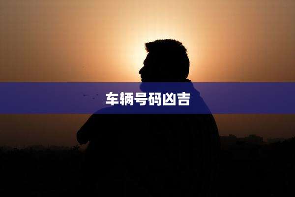 车辆号码凶吉