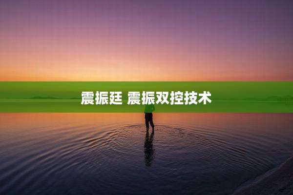 震振廷 震振双控技术