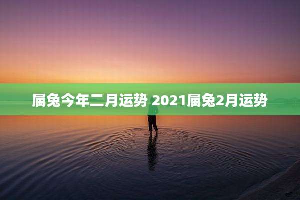 属兔今年二月运势 2021属兔2月运势