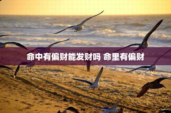 命中有偏财能发财吗 命里有偏财