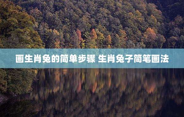 画生肖兔的简单步骤 生肖兔子简笔画法