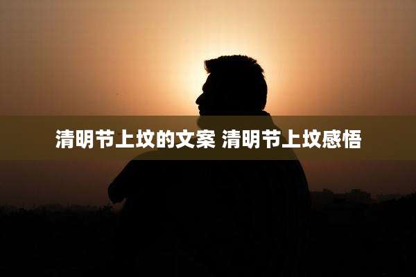清明节上坟的文案 清明节上坟感悟
