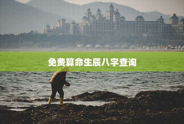 免费算命生辰八字查询