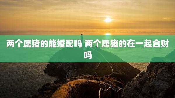 两个属猪的能婚配吗 两个属猪的在一起合财吗