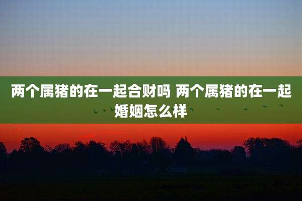 两个属猪的在一起合财吗 两个属猪的在一起婚姻怎么样