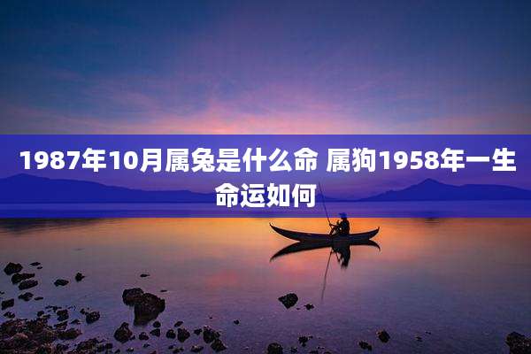 1987年10月属兔是什么命 属狗1958年一生命运如何