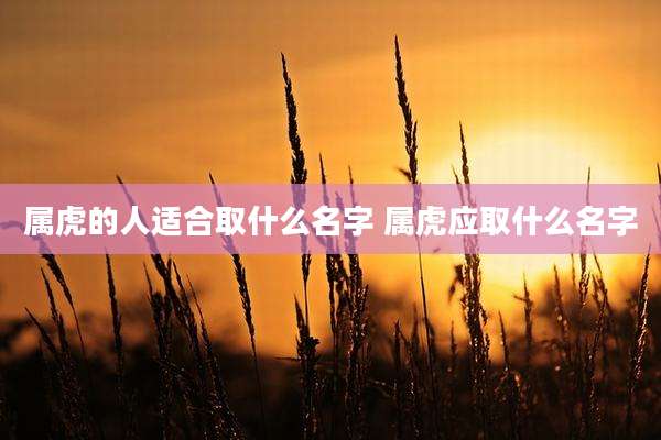 属虎的人适合取什么名字 属虎应取什么名字