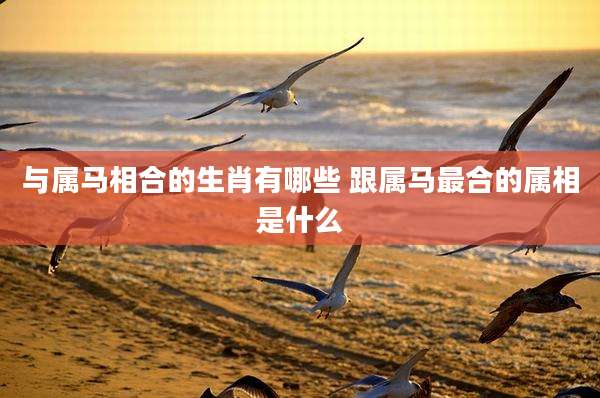 与属马相合的生肖有哪些 跟属马最合的属相是什么