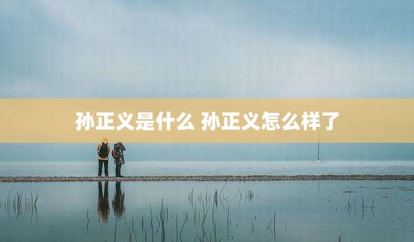 孙正义是什么 孙正义怎么样了