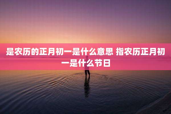 是农历的正月初一是什么意思 指农历正月初一是什么节日