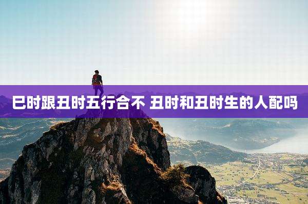 巳时跟丑时五行合不 丑时和丑时生的人配吗