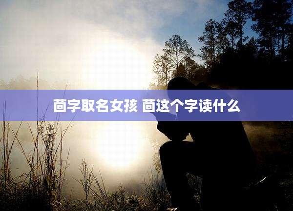 茴字取名女孩 茴这个字读什么