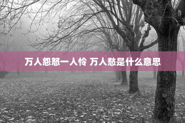 万人怨怒一人怜 万人愁是什么意思