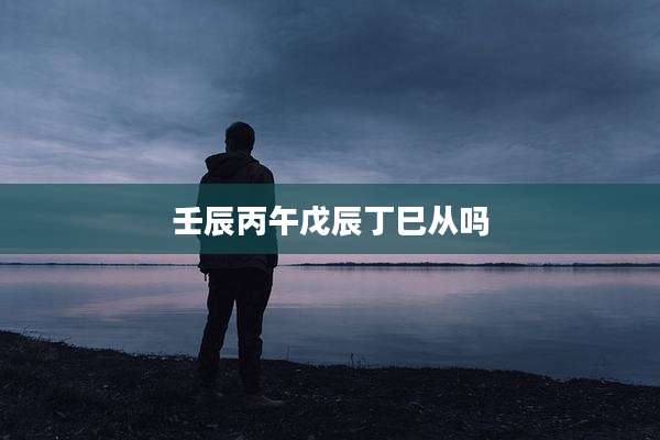 壬辰丙午戊辰丁巳从吗